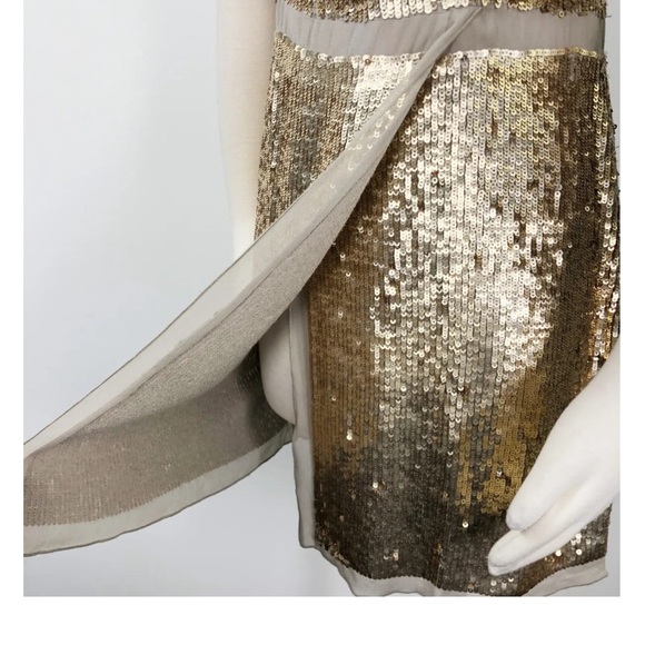 #2- Club Monaco. Silk and sequin dress. New with Tags! - Picture 12 of 13